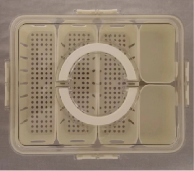 Low flat crisper box